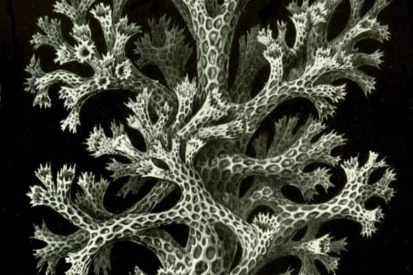 120518205_985042128642739_533231094190726007_n 120518205_985042128642739_533231094190726007_n