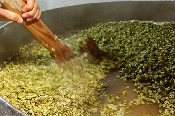 179147705_1129839784162972_176233699038059153_n 179147705_1129839784162972_176233699038059153_n